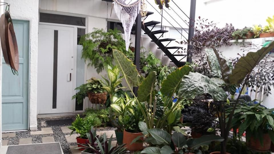 Moonshine Boutique Hostal Cali Exteriör bild